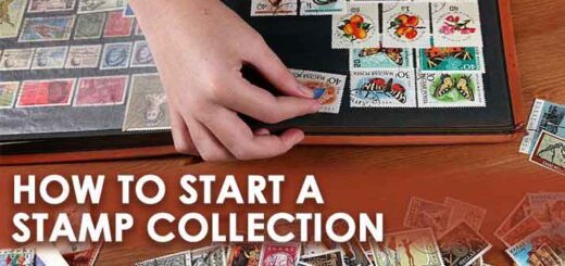 How to Start a Stamp Collection